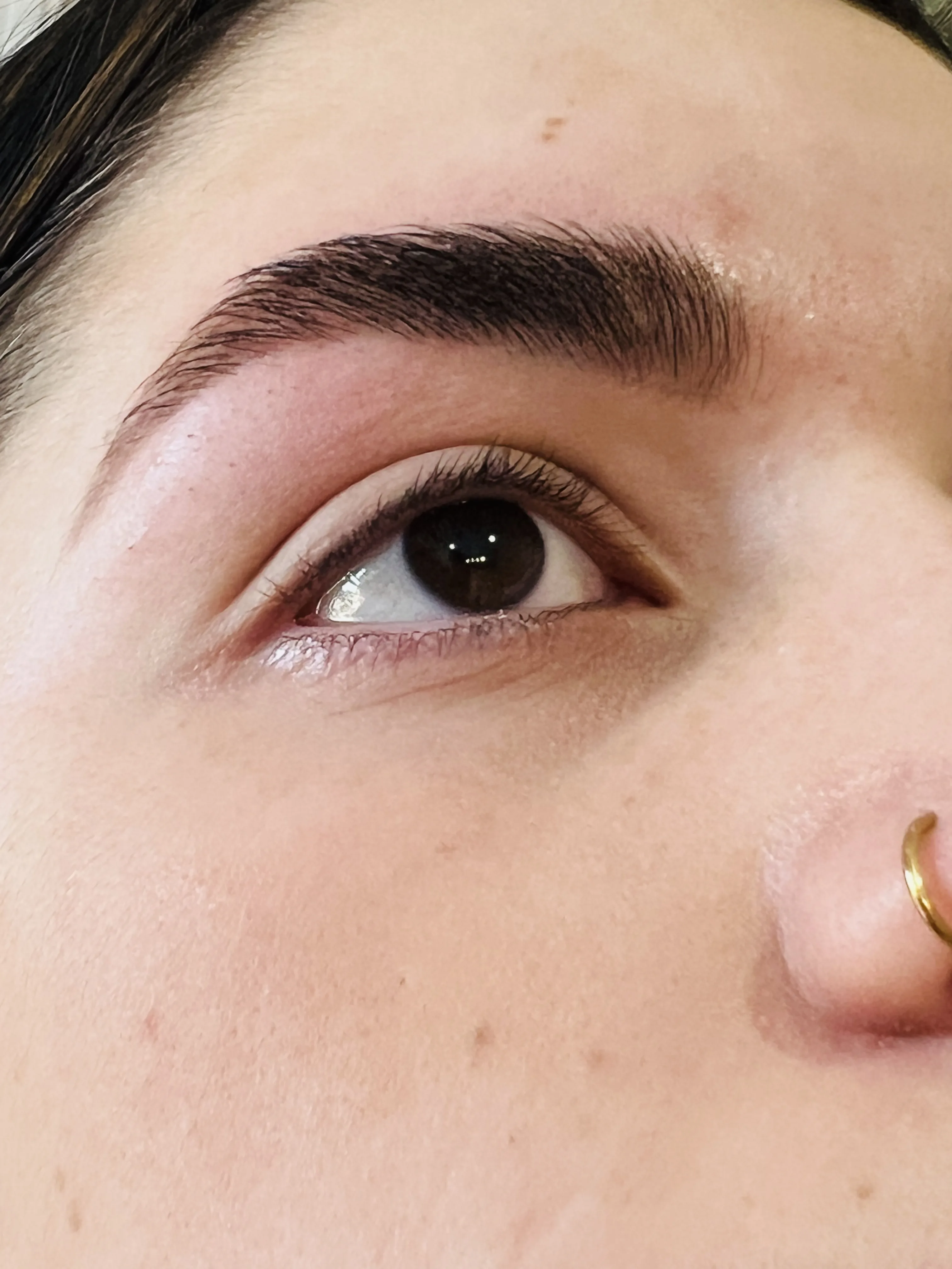 Perfectly groomed brow and eye macro showing precise brow-shaping result, gold nose ring