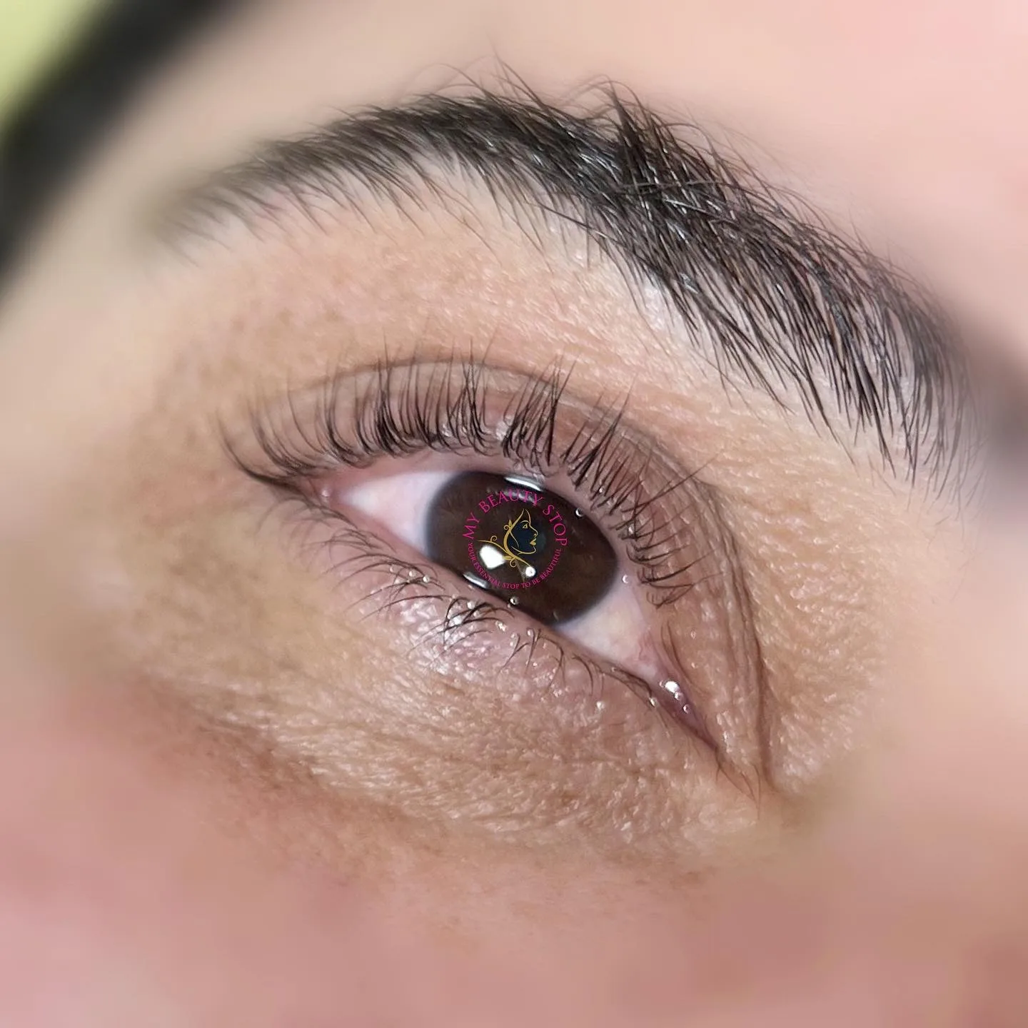 Lash extension set — brown eye macro, square crop, showing the precision of individual lash placement