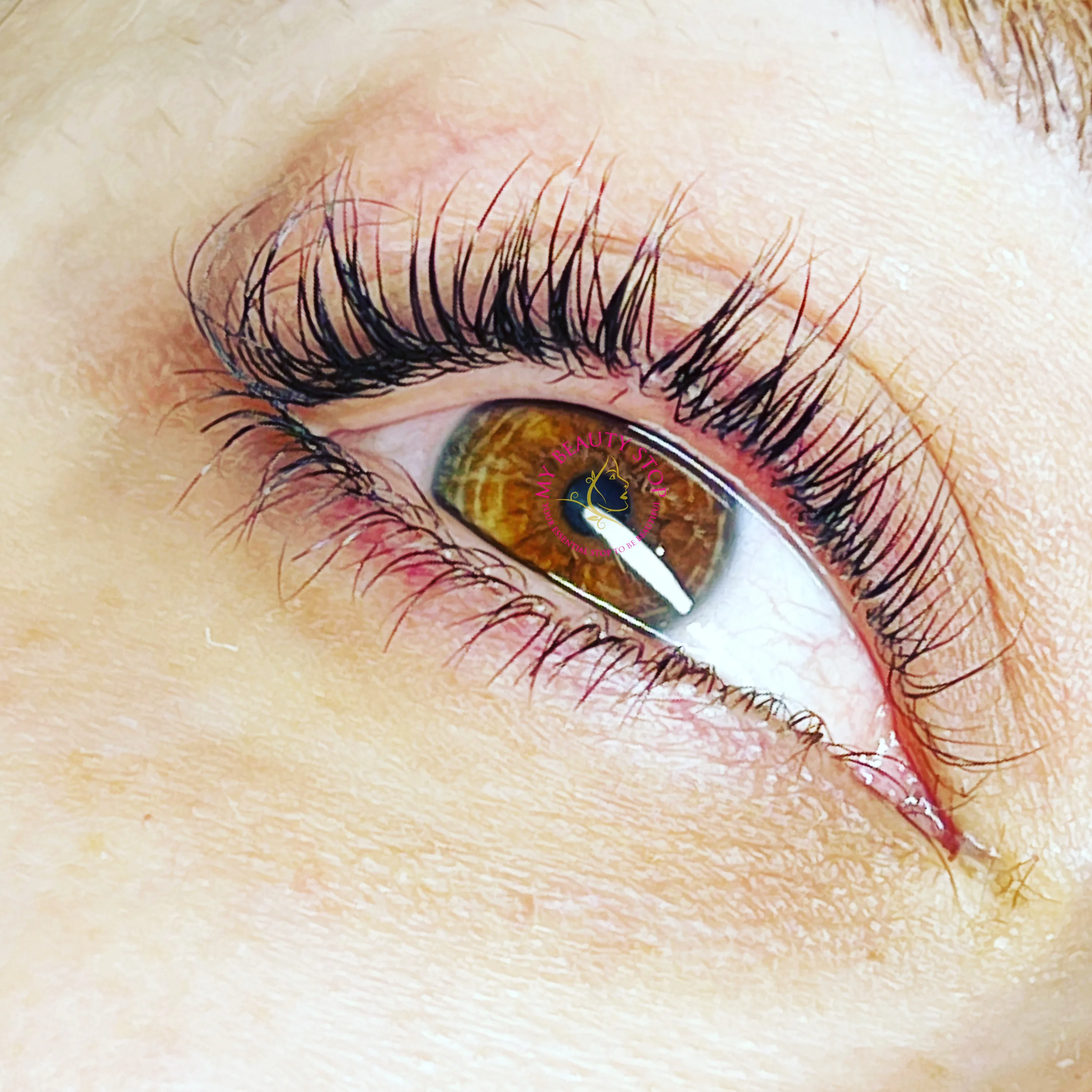 Lash extension set — brown eye macro, individual synthetic lashes applied for a full, natural result