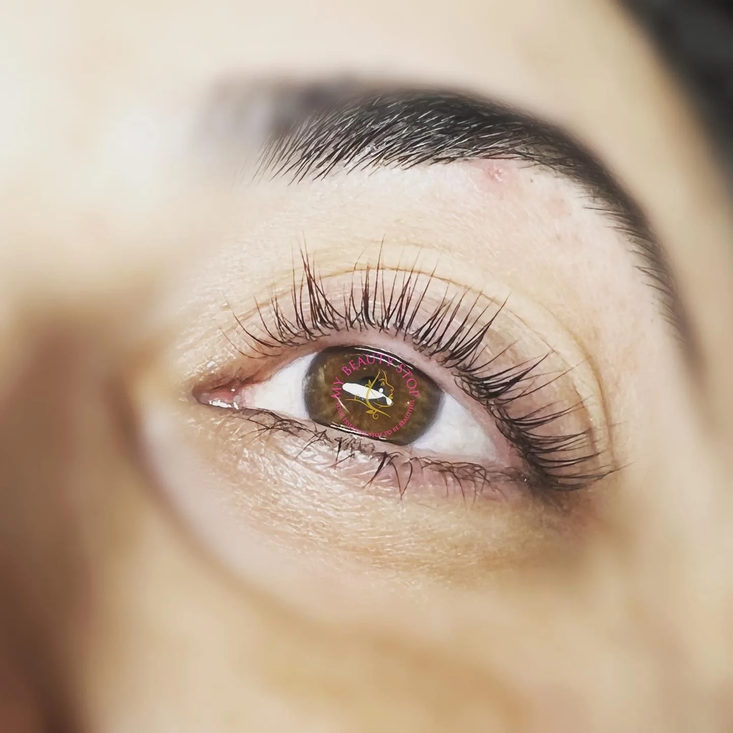 Lash extension set — brown eye macro, square format, full and clean lash line
